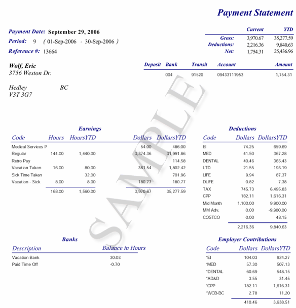 pay statement sample